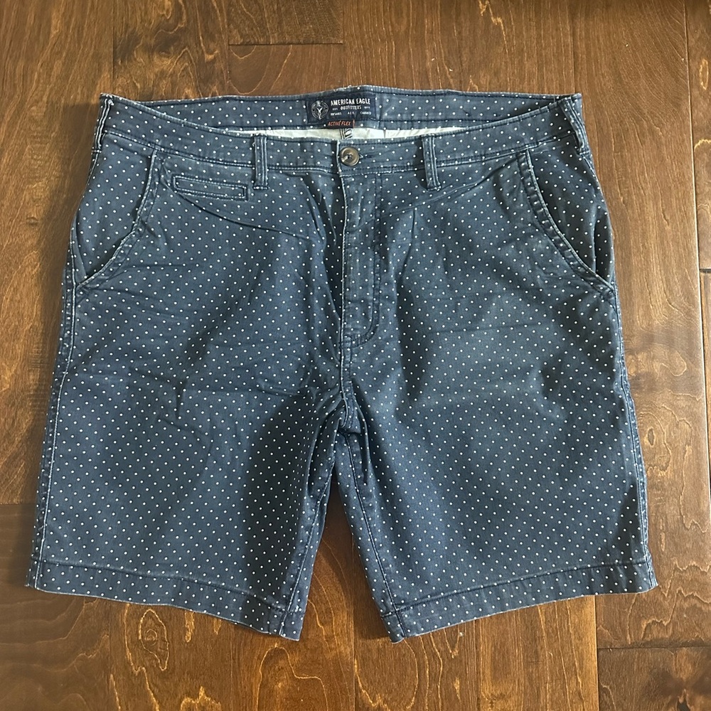 American Eagle Outfitters Blue Flat Front Shorts